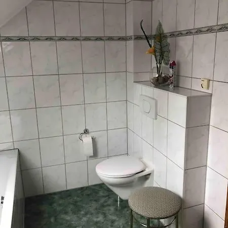 Wunderschoene, Grosse, Ruhige Ferienwohnung Im Zfh Apartment